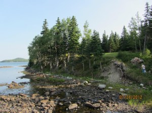 Boyd's Cove is on the terrace on the right of the photo.