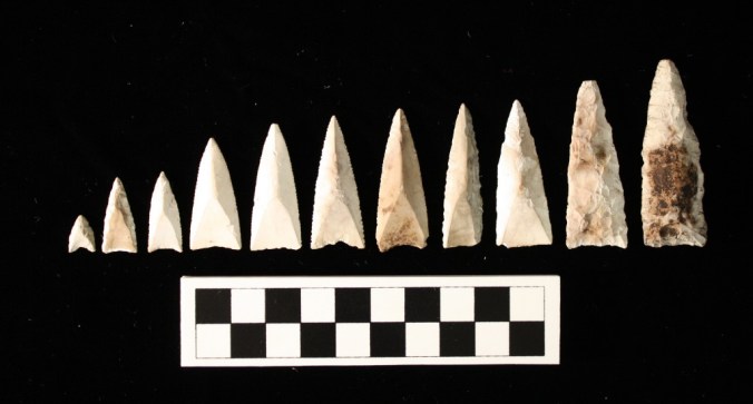 Gradation of endblades from the Stock Cove site.
