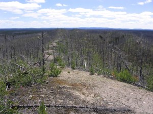 Kapitagas Channel portage trail (Neilsen)