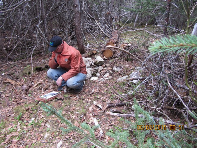 Ken on Two Mile Island, Exploit's River, pondering a Beothuk housepit 2015.